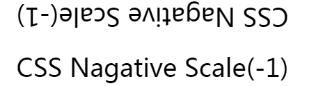 transform: scale(-1)