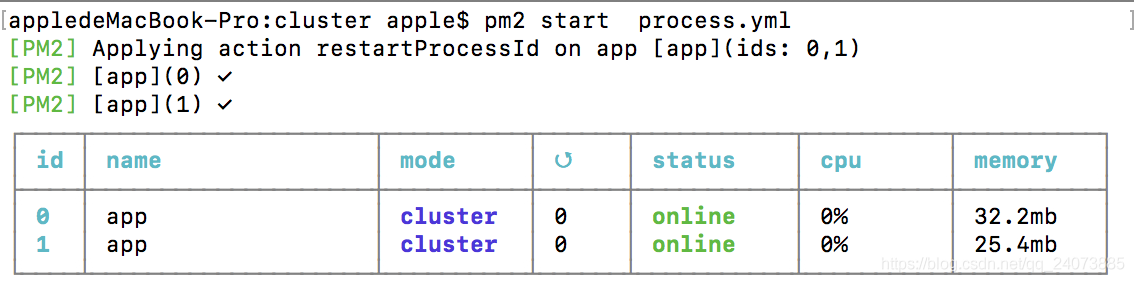 pm2 process.yml