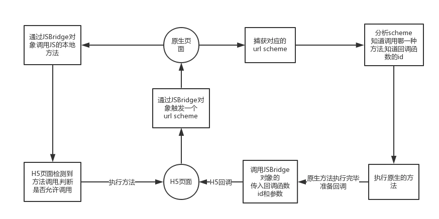 schema