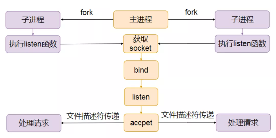 主进程accept
