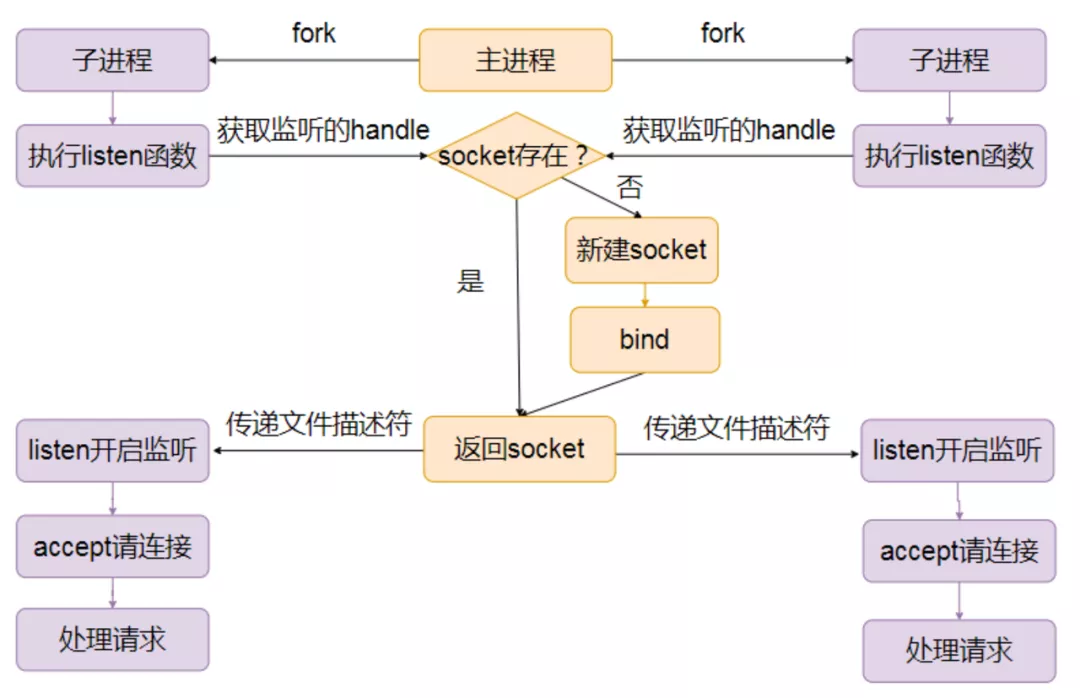 子进程accept
