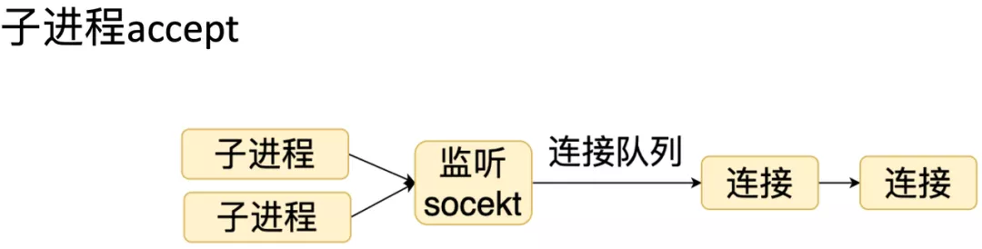 子进程共享