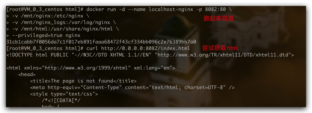 docker run nginx