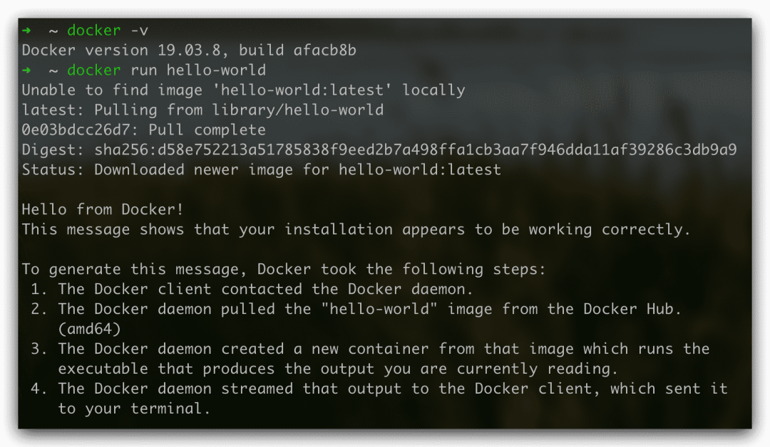 docker hello world
